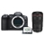 Canon EOS R6 Mark II + RF 100mm f/2,8 Macro IS USM